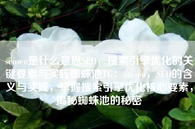 seoseo是什么意思SEO，搜索引擎优化的关键要素与实践蜘蛛池TG：zzcseo，SEO的含义与实践，掌握搜索引擎优化核心要素，揭秘蜘蛛池的秘密