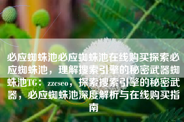 必应蜘蛛池必应蜘蛛池在线购买探索必应蜘蛛池，理解搜索引擎的秘密武器蜘蛛池TG：zzcseo，探索搜索引擎的秘密武器，必应蜘蛛池深度解析与在线购买指南