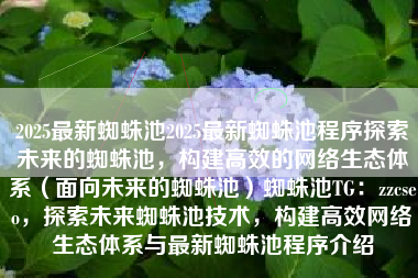 2025最新蜘蛛池2025最新蜘蛛池程序探索未来的蜘蛛池，构建高效的网络生态体系（面向未来的蜘蛛池）蜘蛛池TG：zzcseo，探索未来蜘蛛池技术，构建高效网络生态体系与最新蜘蛛池程序介绍