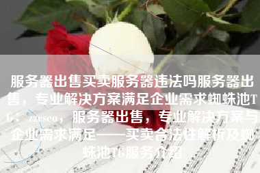 服务器出售买卖服务器违法吗服务器出售，专业解决方案满足企业需求蜘蛛池TG：zzcseo，服务器出售，专业解决方案与企业需求满足——买卖合法性解析及蜘蛛池TG服务介绍