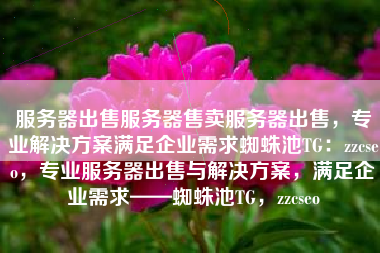 服务器出售服务器售卖服务器出售，专业解决方案满足企业需求蜘蛛池TG：zzcseo，专业服务器出售与解决方案，满足企业需求——蜘蛛池TG，zzcseo