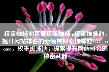 权重蜘蛛池百度权重蜘蛛ip权重蜘蛛池，提升网站排名的新领域探索蜘蛛池TG：zzcseo，权重蜘蛛池，探索提升网站排名的秘密武器