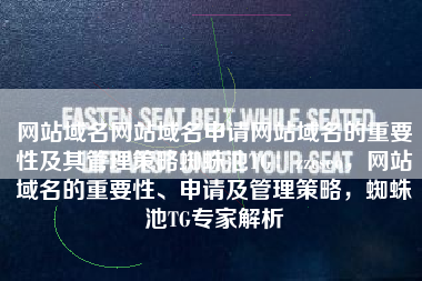 网站域名网站域名申请网站域名的重要性及其管理策略蜘蛛池TG：zzcseo，网站域名的重要性、申请及管理策略，蜘蛛池TG专家解析