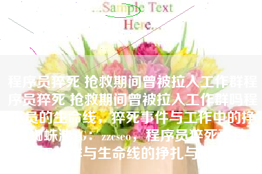 程序员猝死 抢救期间曾被拉入工作群程序员猝死 抢救期间曾被拉入工作群吗程序员的生命线，猝死事件与工作中的挣扎蜘蛛池TG：zzcseo，程序员猝死事件，工作群与生命线的挣扎与反思