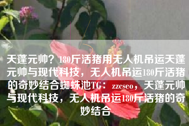 天蓬元帅？180斤活猪用无人机吊运天蓬元帅与现代科技，无人机吊运180斤活猪的奇妙结合蜘蛛池TG：zzcseo，天蓬元帅与现代科技，无人机吊运180斤活猪的奇妙结合