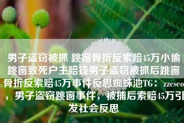 男子盗窃被抓 跳窗骨折反索赔45万小偷跳窗致死户主赔钱男子盗窃被抓后跳窗骨折反索赔45万事件反思蜘蛛池TG：zzcseo，男子盗窃跳窗事件，被捕后索赔45万引发社会反思
