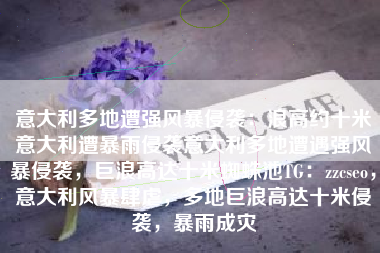 意大利多地遭强风暴侵袭：浪高约十米意大利遭暴雨侵袭意大利多地遭遇强风暴侵袭，巨浪高达十米蜘蛛池TG：zzcseo，意大利风暴肆虐，多地巨浪高达十米侵袭，暴雨成灾