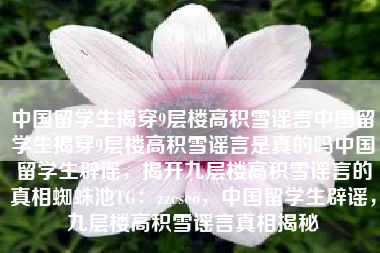 中国留学生揭穿9层楼高积雪谣言中国留学生揭穿9层楼高积雪谣言是真的吗中国留学生辟谣，揭开九层楼高积雪谣言的真相蜘蛛池TG：zzcseo，中国留学生辟谣，九层楼高积雪谣言真相揭秘