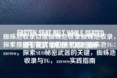 蜘蛛池收录百度蜘蛛池收录蜘蛛池收录，探索搜索引擎优化的秘密武器蜘蛛池TG：zzcseo，探索SEO秘密武器的关键，蜘蛛池收录与TG，zzcseo实践指南