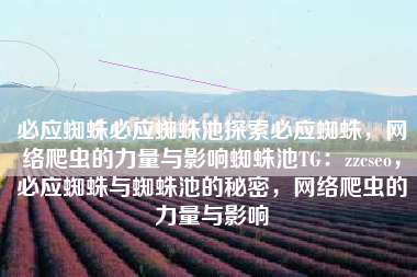 必应蜘蛛必应蜘蛛池探索必应蜘蛛，网络爬虫的力量与影响蜘蛛池TG：zzcseo，必应蜘蛛与蜘蛛池的秘密，网络爬虫的力量与影响