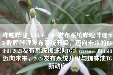 哔哩哔哩_bilibili_2025发布系统哔哩哔哩2050哔哩哔哩发布系统升级，迈向未来的Bilibili 2025发布系统蜘蛛池TG：zzcseo，Bilibili迈向未来，2025发布系统升级与蜘蛛池TG新动向