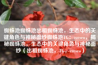 蜘蛛池蜘蛛池出租蜘蛛池，生态中的关键角色与神秘面纱蜘蛛池TG：zzcseo，揭秘蜘蛛池，生态中的关键角色与神秘面纱（出租蜘蛛池，TG，zzcseo）