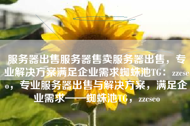 服务器出售服务器售卖服务器出售，专业解决方案满足企业需求蜘蛛池TG：zzcseo，专业服务器出售与解决方案，满足企业需求——蜘蛛池TG，zzcseo