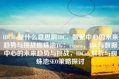 IDCidc是什么意思啊IDC，数据中心的未来趋势与挑战蜘蛛池TG：zzcseo，IDC与数据中心的未来趋势与挑战，IDCidc解析与蜘蛛池SEO策略探讨