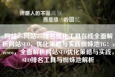 网站seo网站seo排名优化工具在线全面解析网站SEO，优化策略与实践蜘蛛池TG：zzcseo，全面解析网站SEO优化策略与实践，SEO排名工具与蜘蛛池解析