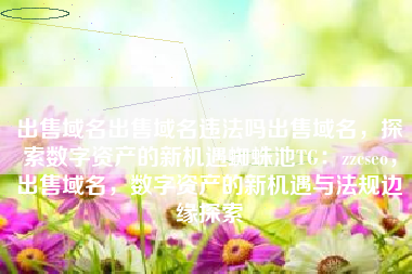 出售域名出售域名违法吗出售域名，探索数字资产的新机遇蜘蛛池TG：zzcseo，出售域名，数字资产的新机遇与法规边缘探索