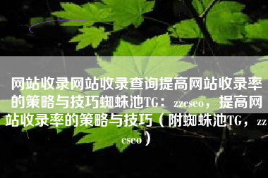 网站收录网站收录查询提高网站收录率的策略与技巧蜘蛛池TG：zzcseo，提高网站收录率的策略与技巧（附蜘蛛池TG，zzcseo）