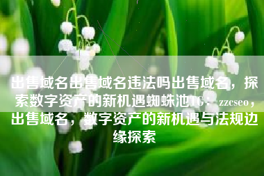 出售域名出售域名违法吗出售域名，探索数字资产的新机遇蜘蛛池TG：zzcseo，出售域名，数字资产的新机遇与法规边缘探索