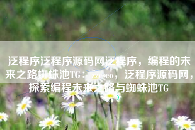 泛程序泛程序源码网泛程序，编程的未来之路蜘蛛池TG：zzcseo，泛程序源码网，探索编程未来之路与蜘蛛池TG