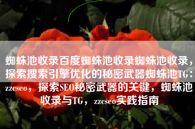 蜘蛛池收录百度蜘蛛池收录蜘蛛池收录，探索搜索引擎优化的秘密武器蜘蛛池TG：zzcseo，探索SEO秘密武器的关键，蜘蛛池收录与TG，zzcseo实践指南