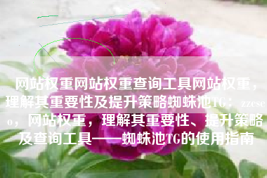 网站权重网站权重查询工具网站权重，理解其重要性及提升策略蜘蛛池TG：zzcseo，网站权重，理解其重要性、提升策略及查询工具——蜘蛛池TG的使用指南