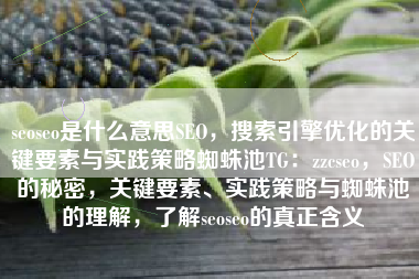 seoseo是什么意思SEO，搜索引擎优化的关键要素与实践策略蜘蛛池TG：zzcseo，SEO的秘密，关键要素、实践策略与蜘蛛池的理解，了解seoseo的真正含义