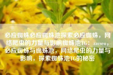 必应蜘蛛必应蜘蛛池探索必应蜘蛛，网络爬虫的力量与影响蜘蛛池TG：zzcseo，必应蜘蛛与蜘蛛池，网络爬虫的力量与影响，探索蜘蛛池TG的秘密