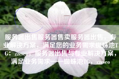 服务器出售服务器售卖服务器出售，专业解决方案，满足您的业务需求蜘蛛池TG：zzcseo，服务器出售与专业解决方案，满足业务需求——蜘蛛池TG，zzcseo