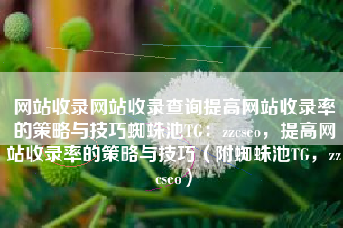 网站收录网站收录查询提高网站收录率的策略与技巧蜘蛛池TG：zzcseo，提高网站收录率的策略与技巧（附蜘蛛池TG，zzcseo）