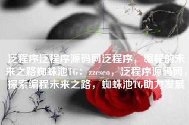 泛程序泛程序源码网泛程序，编程的未来之路蜘蛛池TG：zzcseo，泛程序源码网，探索编程未来之路，蜘蛛池TG助力发展