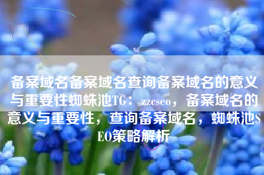 备案域名备案域名查询备案域名的意义与重要性蜘蛛池TG：zzcseo，备案域名的意义与重要性，查询备案域名，蜘蛛池SEO策略解析