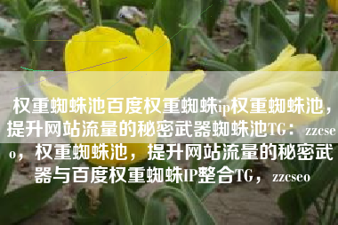 权重蜘蛛池百度权重蜘蛛ip权重蜘蛛池，提升网站流量的秘密武器蜘蛛池TG：zzcseo，权重蜘蛛池，提升网站流量的秘密武器与百度权重蜘蛛IP整合TG，zzcseo