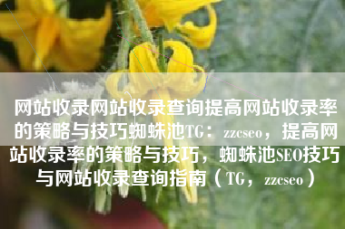 网站收录网站收录查询提高网站收录率的策略与技巧蜘蛛池TG：zzcseo，提高网站收录率的策略与技巧，蜘蛛池SEO技巧与网站收录查询指南（TG，zzcseo）
