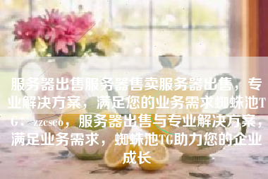 服务器出售服务器售卖服务器出售，专业解决方案，满足您的业务需求蜘蛛池TG：zzcseo，服务器出售与专业解决方案，满足业务需求，蜘蛛池TG助力您的企业成长