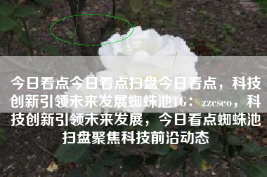今日看点今日看点扫盘今日看点，科技创新引领未来发展蜘蛛池TG：zzcseo，科技创新引领未来发展，今日看点蜘蛛池扫盘聚焦科技前沿动态