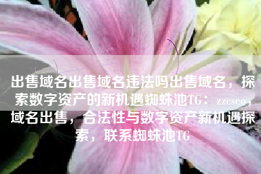 出售域名出售域名违法吗出售域名，探索数字资产的新机遇蜘蛛池TG：zzcseo，域名出售，合法性与数字资产新机遇探索，联系蜘蛛池TG