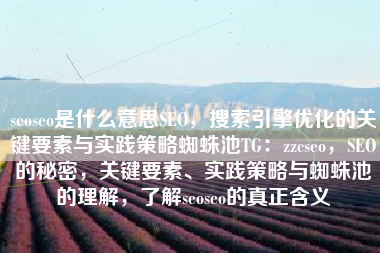 seoseo是什么意思SEO，搜索引擎优化的关键要素与实践策略蜘蛛池TG：zzcseo，SEO的秘密，关键要素、实践策略与蜘蛛池的理解，了解seoseo的真正含义