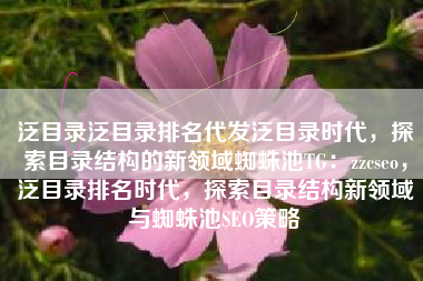 泛目录泛目录排名代发泛目录时代，探索目录结构的新领域蜘蛛池TG：zzcseo，泛目录排名时代，探索目录结构新领域与蜘蛛池SEO策略