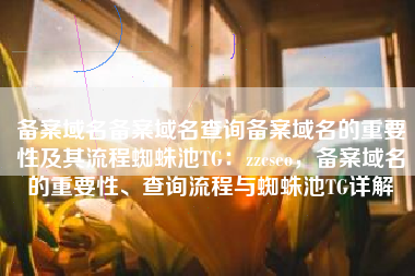 备案域名备案域名查询备案域名的重要性及其流程蜘蛛池TG：zzcseo，备案域名的重要性、查询流程与蜘蛛池TG详解