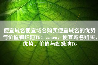 便宜域名便宜域名购买便宜域名的优势与价值蜘蛛池TG：zzcseo，便宜域名购买，优势、价值与蜘蛛池TG