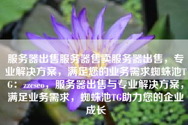服务器出售服务器售卖服务器出售，专业解决方案，满足您的业务需求蜘蛛池TG：zzcseo，服务器出售与专业解决方案，满足业务需求，蜘蛛池TG助力您的企业成长