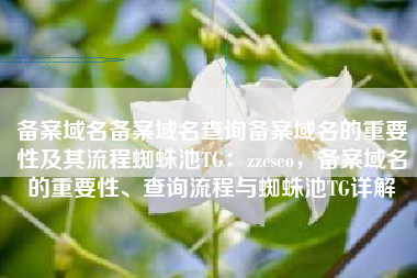 备案域名备案域名查询备案域名的重要性及其流程蜘蛛池TG：zzcseo，备案域名的重要性、查询流程与蜘蛛池TG详解