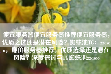 便宜服务器便宜服务器推荐便宜服务器，优质之选还是潜在风险？蜘蛛池TG：zzcseo，廉价服务器推荐，优质选择还是潜在风险？深度探讨与TG蜘蛛池zzcseo