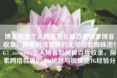 博客收录个人博客怎么被百度收录博客收录，探索网络世界的无尽可能蜘蛛池TG：zzcseo，个人博客如何被百度收录，探索网络世界的SEO秘籍与蜘蛛池TG经验分享