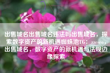 出售域名出售域名违法吗出售域名，探索数字资产的新机遇蜘蛛池TG：zzcseo，出售域名，数字资产的新机遇与法规边缘探索