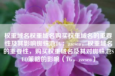 权重域名权重域名购买权重域名的重要性及其影响蜘蛛池TG：zzcseo，权重域名的重要性，购买权重域名及其对蜘蛛池SEO策略的影响（TG，zzcseo）