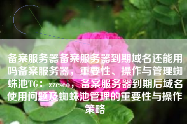 备案服务器备案服务器到期域名还能用吗备案服务器，重要性、操作与管理蜘蛛池TG：zzcseo，备案服务器到期后域名使用问题及蜘蛛池管理的重要性与操作策略