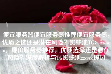 便宜服务器便宜服务器推荐便宜服务器，优质之选还是潜在风险？蜘蛛池TG：zzcseo，廉价服务器推荐，优质选择还是潜在风险？深度解析与TG蜘蛛池zzcseo探讨