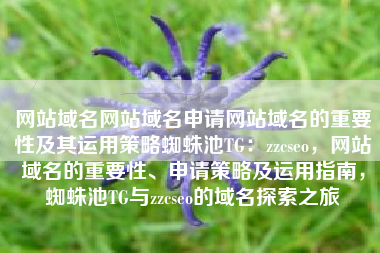 网站域名网站域名申请网站域名的重要性及其运用策略蜘蛛池TG：zzcseo，网站域名的重要性、申请策略及运用指南，蜘蛛池TG与zzcseo的域名探索之旅