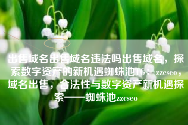 出售域名出售域名违法吗出售域名，探索数字资产的新机遇蜘蛛池TG：zzcseo，域名出售，合法性与数字资产新机遇探索——蜘蛛池zzcseo